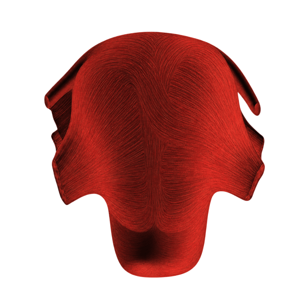 Red muscle illustration